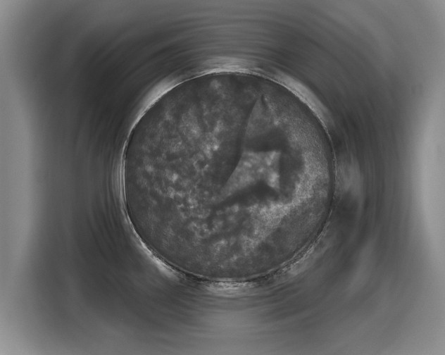 X0000116041290200911271150