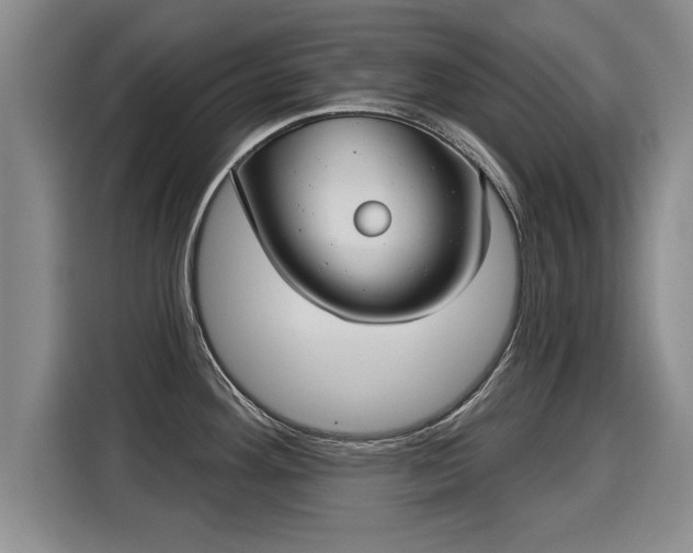 X0000116041292200911271150