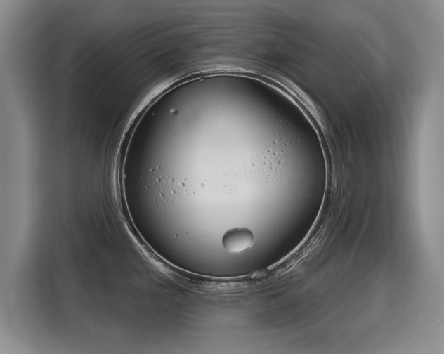 X0000116041293200911271150