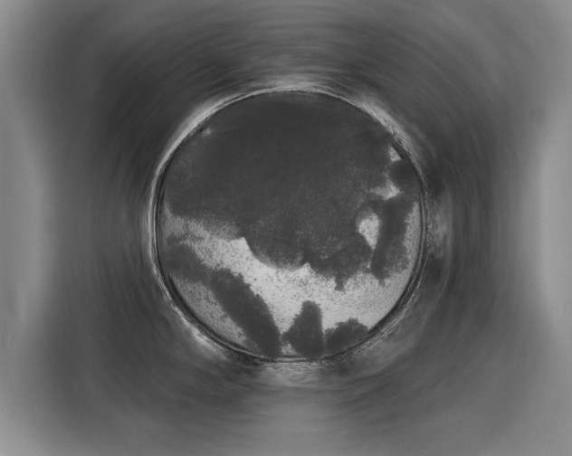 X0000116041294200911271150