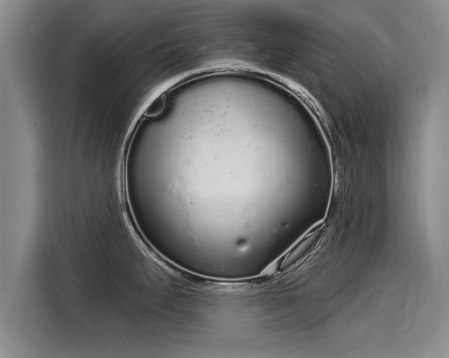 X0000116041295200911271150