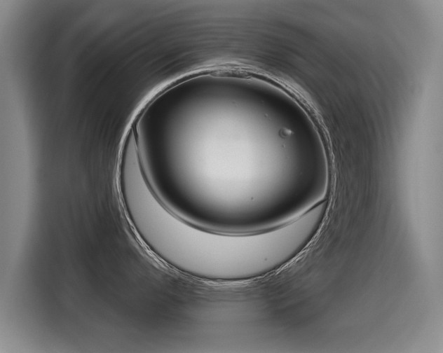 X0000116041296200911271150