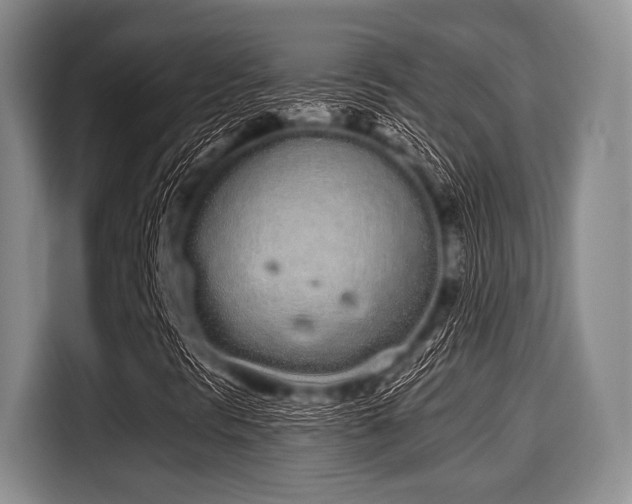 X0000116041297200911271150