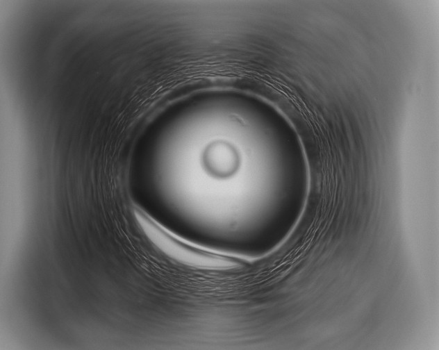 X0000116041298200911271150