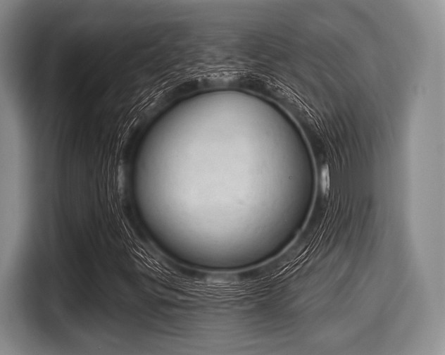 X0000116041299200911271150