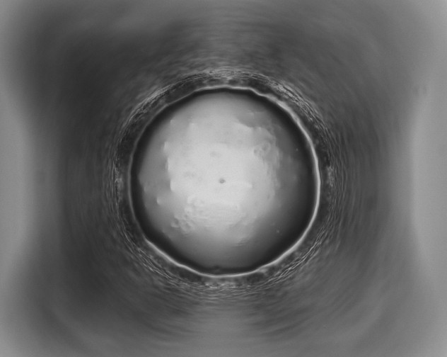 X0000116041302200911271150