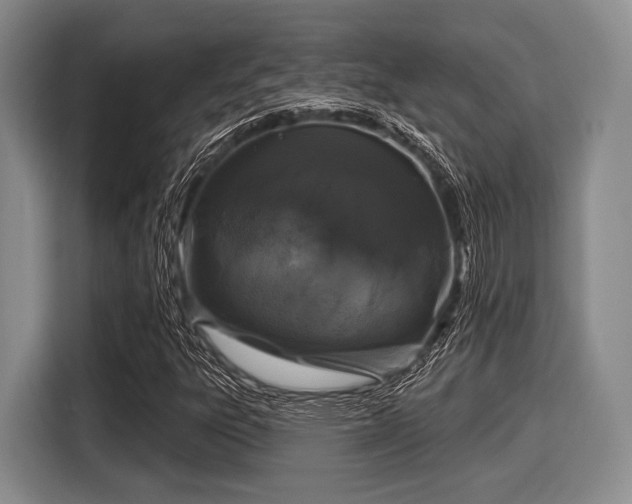 X0000116041303200911271150