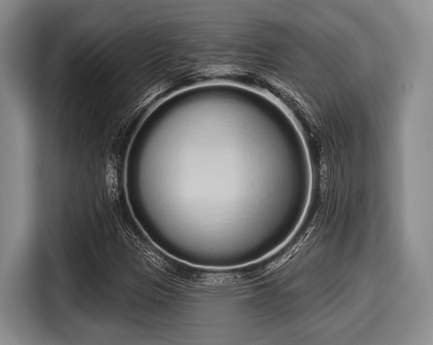 X0000116041305200911271150