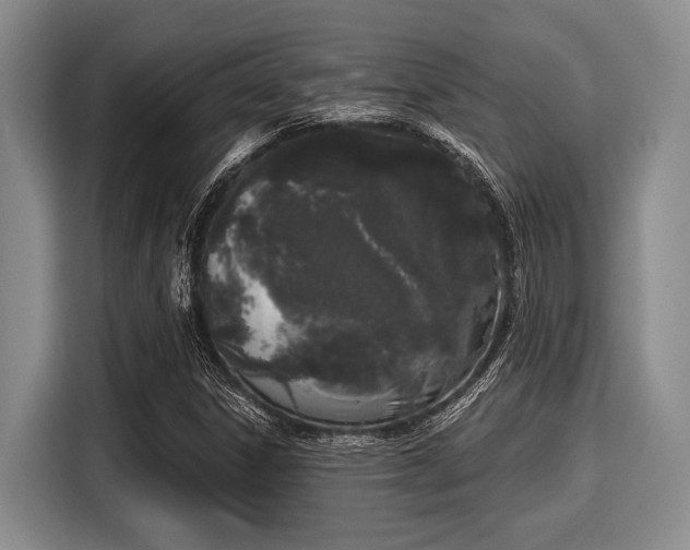 X0000116041306200911271150