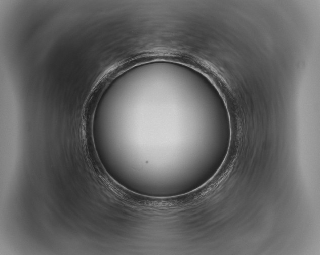 X0000116041307200911271150