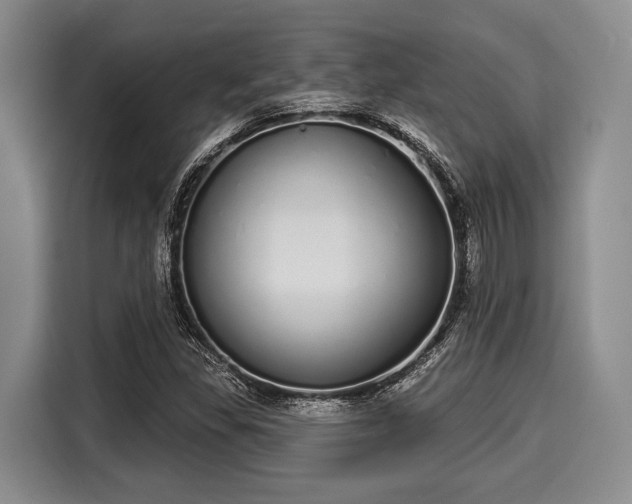 X0000116041309200911271150