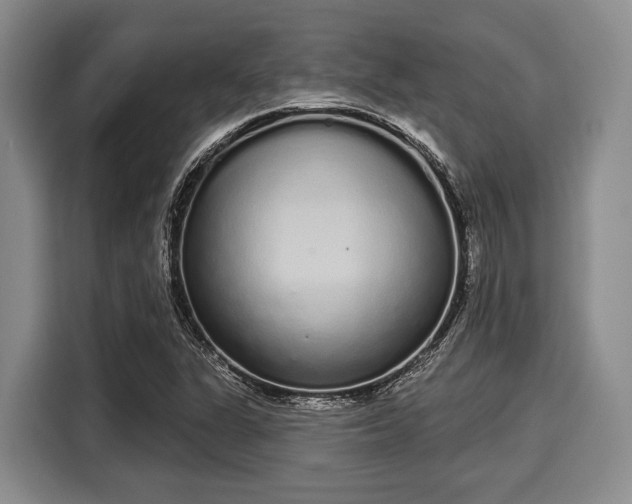 X0000116041311200911271150