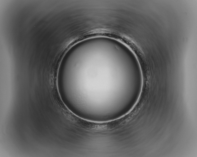 X0000116041313200911271150