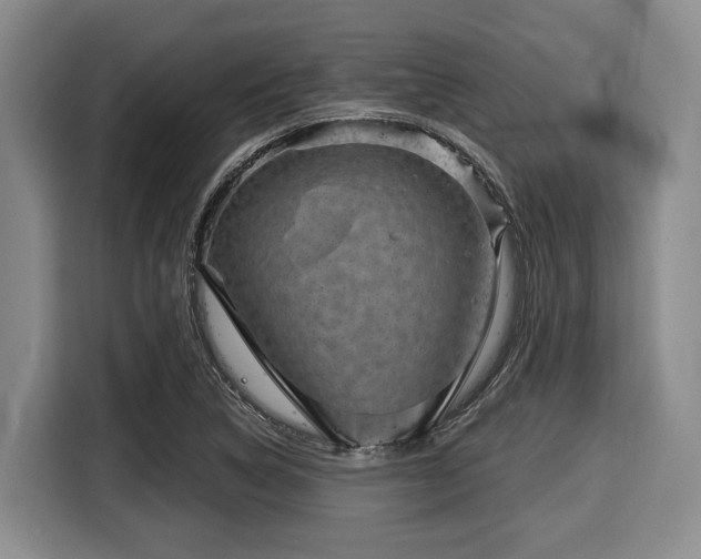 X0000116041314200911271150