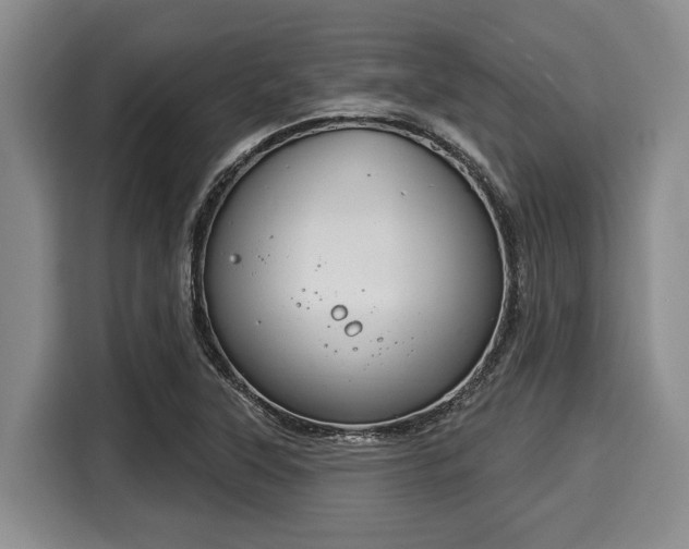 X0000116041315200911271150