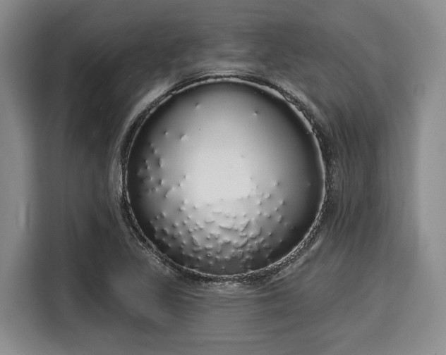 X0000116041317200911271150