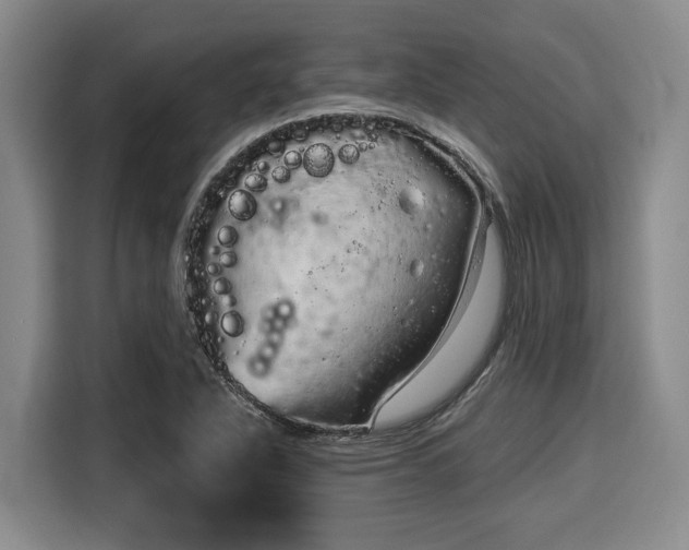 X0000116041318200911271150