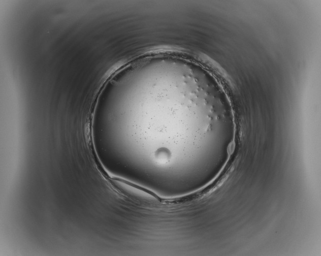 X0000116041321200911271150