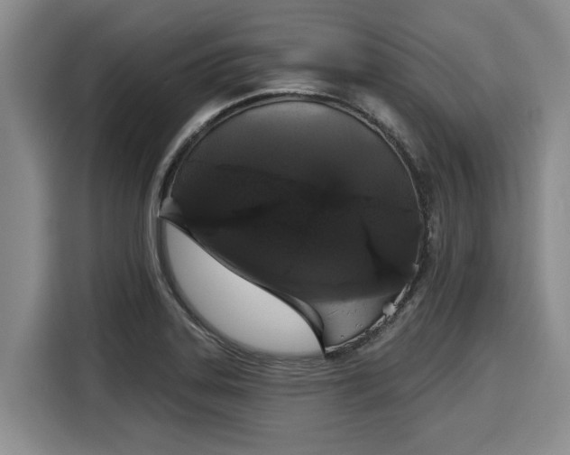 X0000116041323200911271150