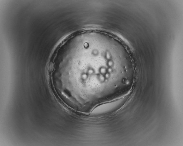 X0000116041325200911271150