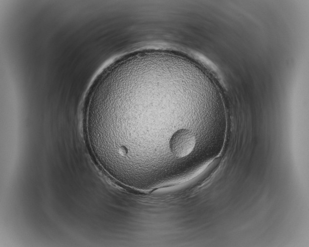 X0000116041326200911271150