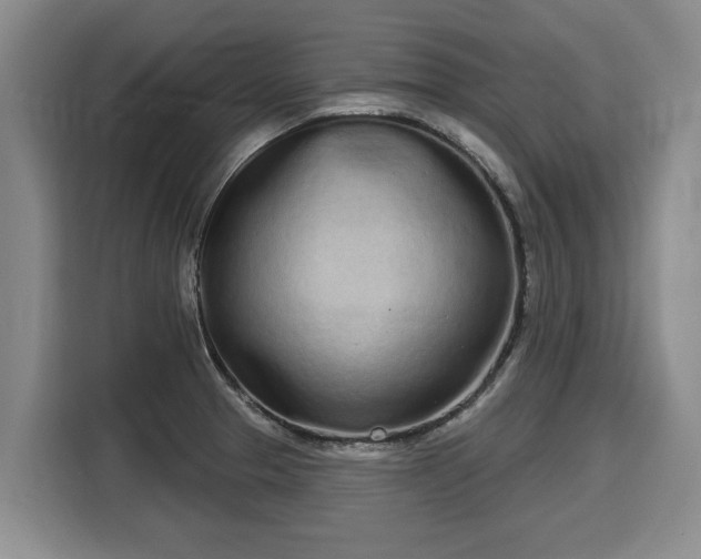 X0000116041329200911271150