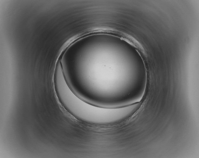 X0000116041330200911271150