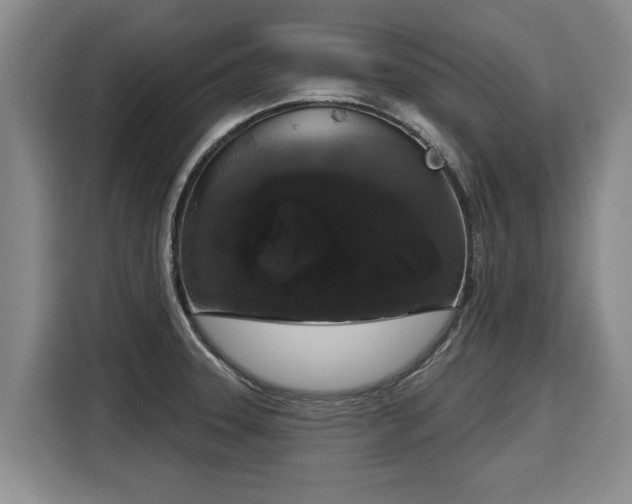 X0000116041331200911271150