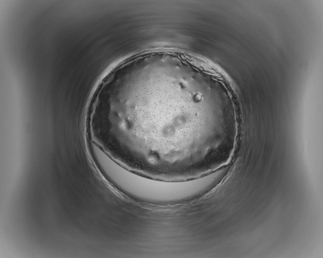 X0000116041333200911271150