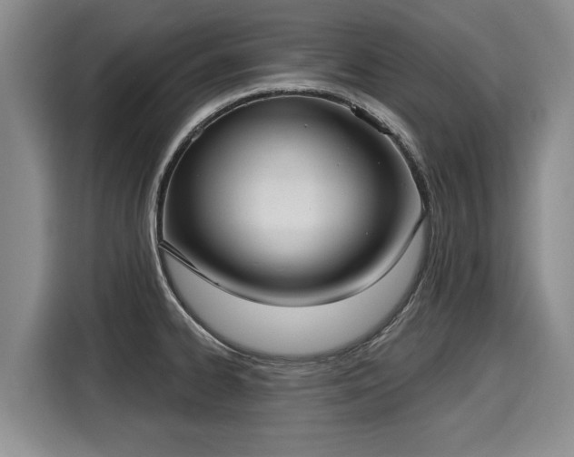 X0000116041334200911271150