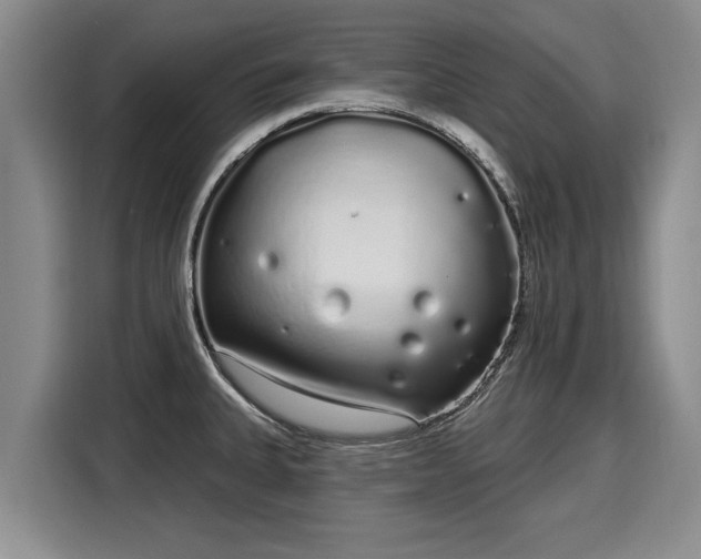 X0000116041335200911271150