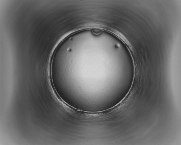 X0000116041339200911271150