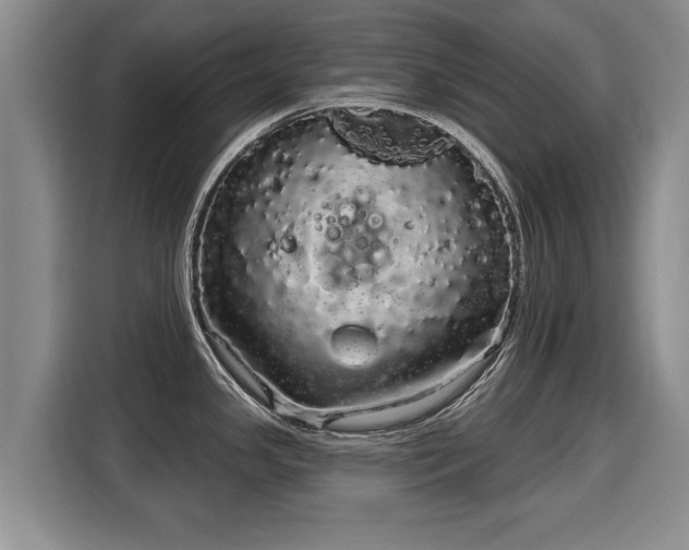 X0000116041341200911271150