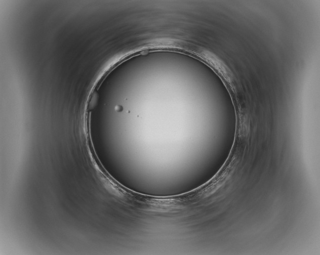 X0000116041342200911271150