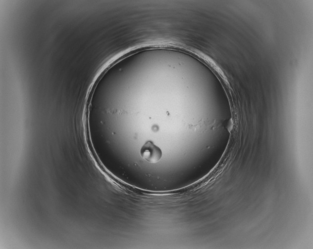 X0000116041343200911271150