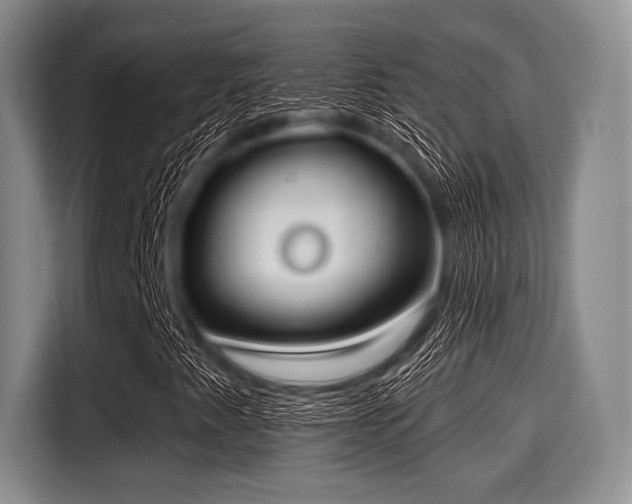 X0000116041345200911271150