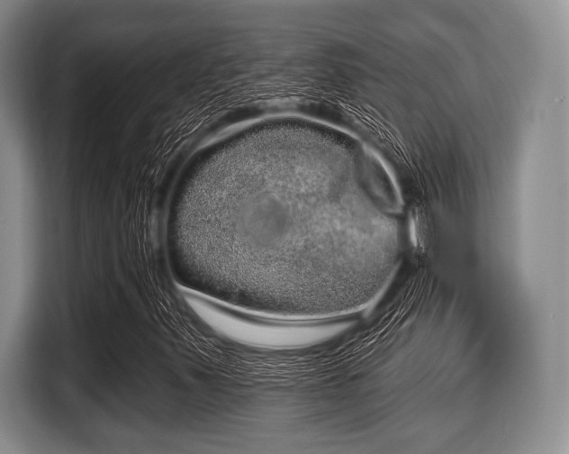 X0000116041347200911271150