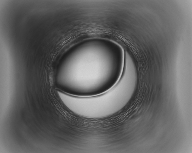 X0000116041348200911271150