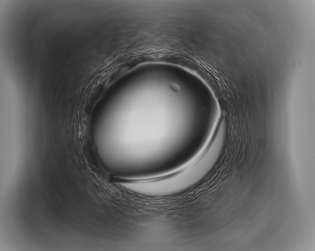 X0000116041349200911271150