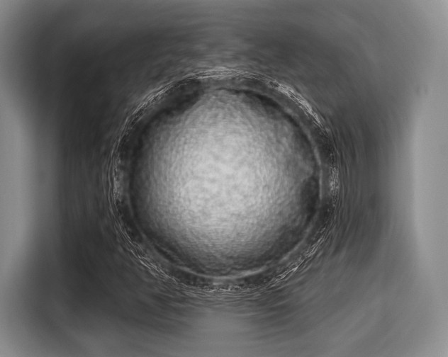 X0000116041350200911271150