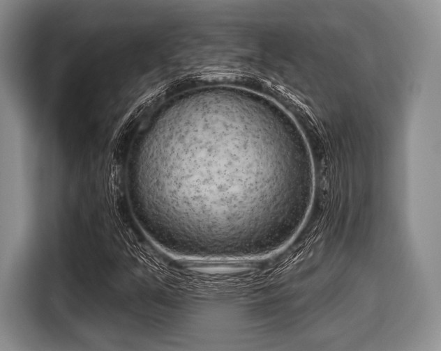 X0000116041351200911271150