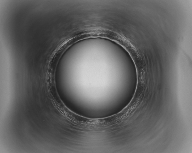 X0000116041352200911271150