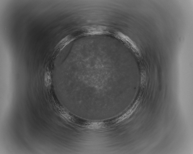 X0000116041353200911271150