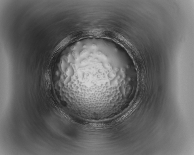 X0000116041354200911271150