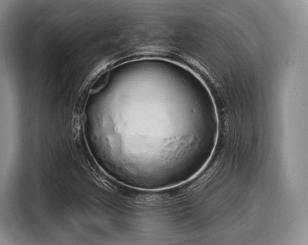 X0000116041355200911271150