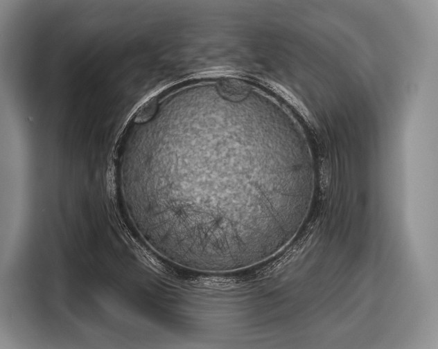 X0000116041356200911271150