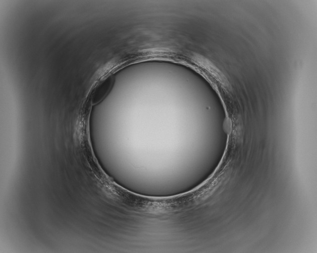 X0000116041357200911271149