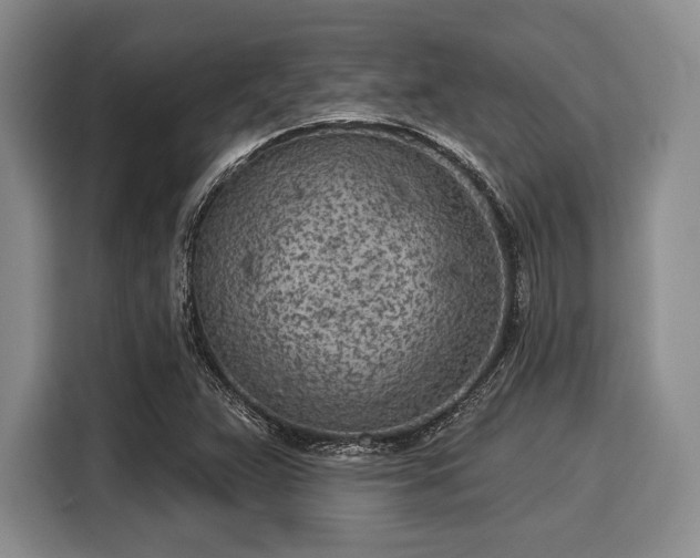 X0000116041359200911271149