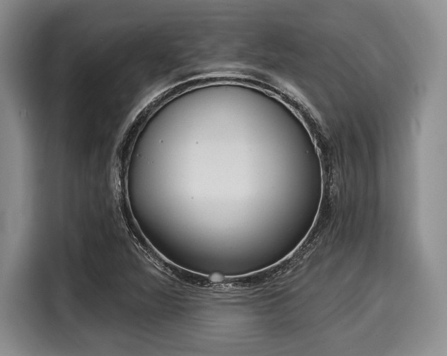 X0000116041360200911271149