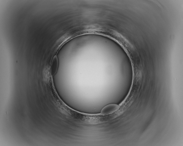 X0000116041361200911271149